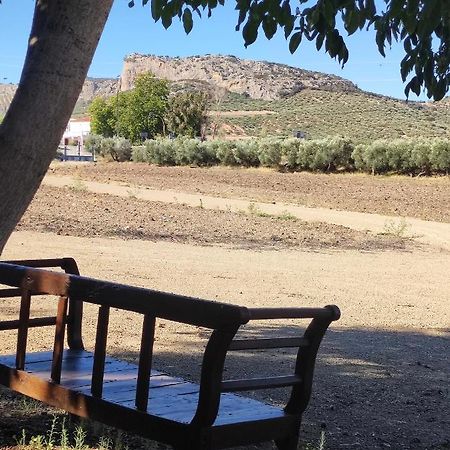 Alojamiento Rural Huerta Mandre Cuevas del Becerro Dış mekan fotoğraf