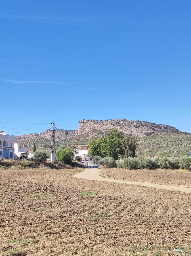 Alojamiento Rural Huerta Mandre Cuevas del Becerro Dış mekan fotoğraf