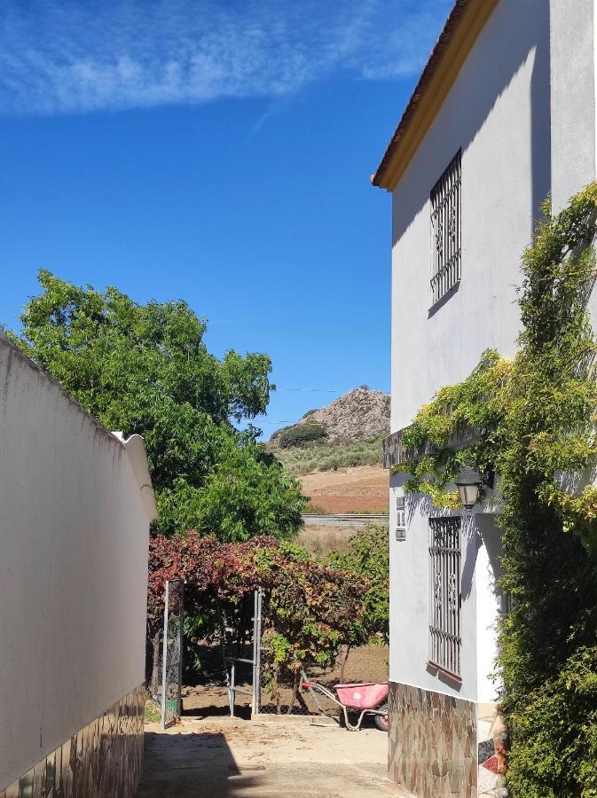 Alojamiento Rural Huerta Mandre Cuevas del Becerro Dış mekan fotoğraf