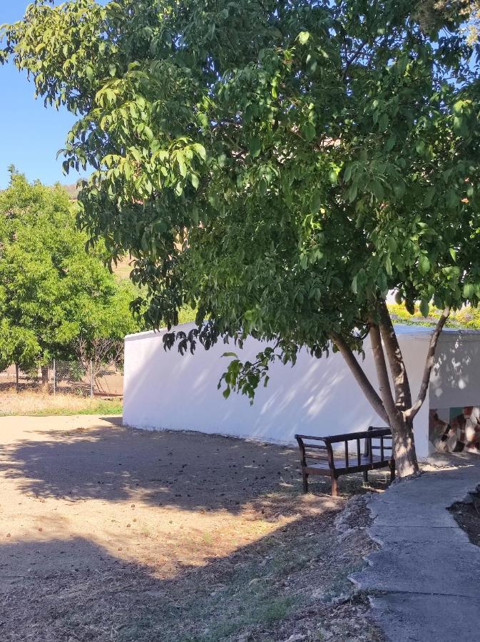 Alojamiento Rural Huerta Mandre Cuevas del Becerro Dış mekan fotoğraf